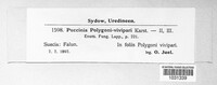 Uromyces polygoni-avicularis image